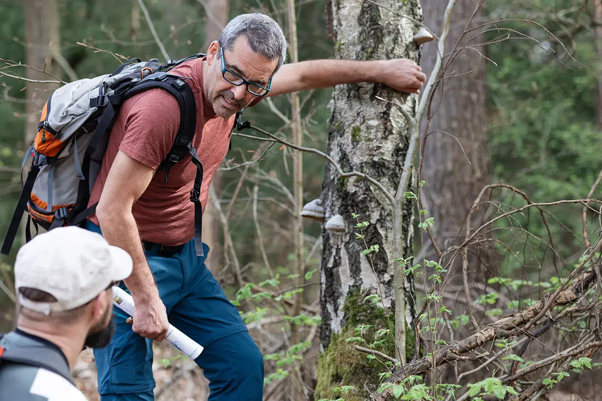 Heilpilzwanderung in Sachsen mit Michael - Erklärung im Wald