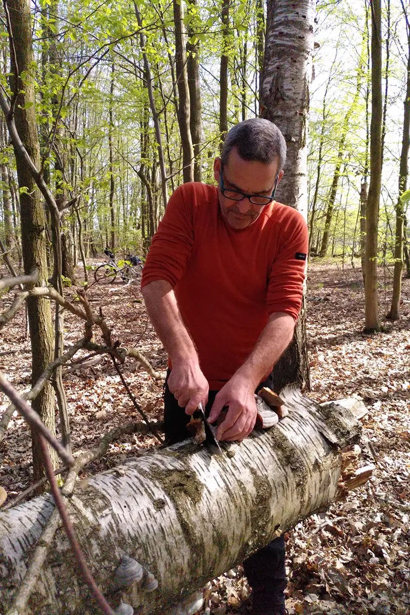 Heilpilzwanderung in Sachsen mit Michael - beim Pilz schneiden