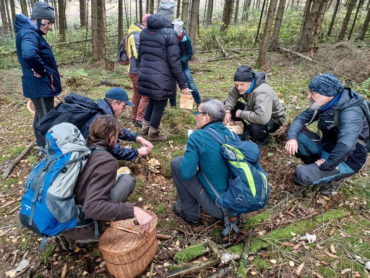 Heilpilzwanderung in Sachsen mit Michael - Wandergruppe im Wald