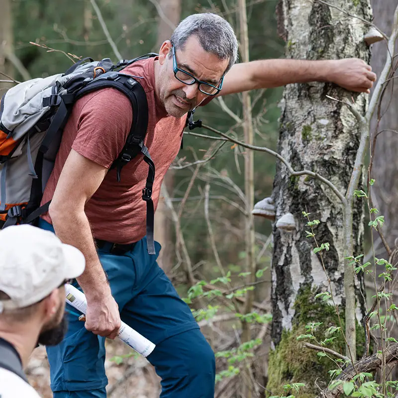 Heilpilzwanderung in Sachsen mit Michael - bei der Wanderung im Wald